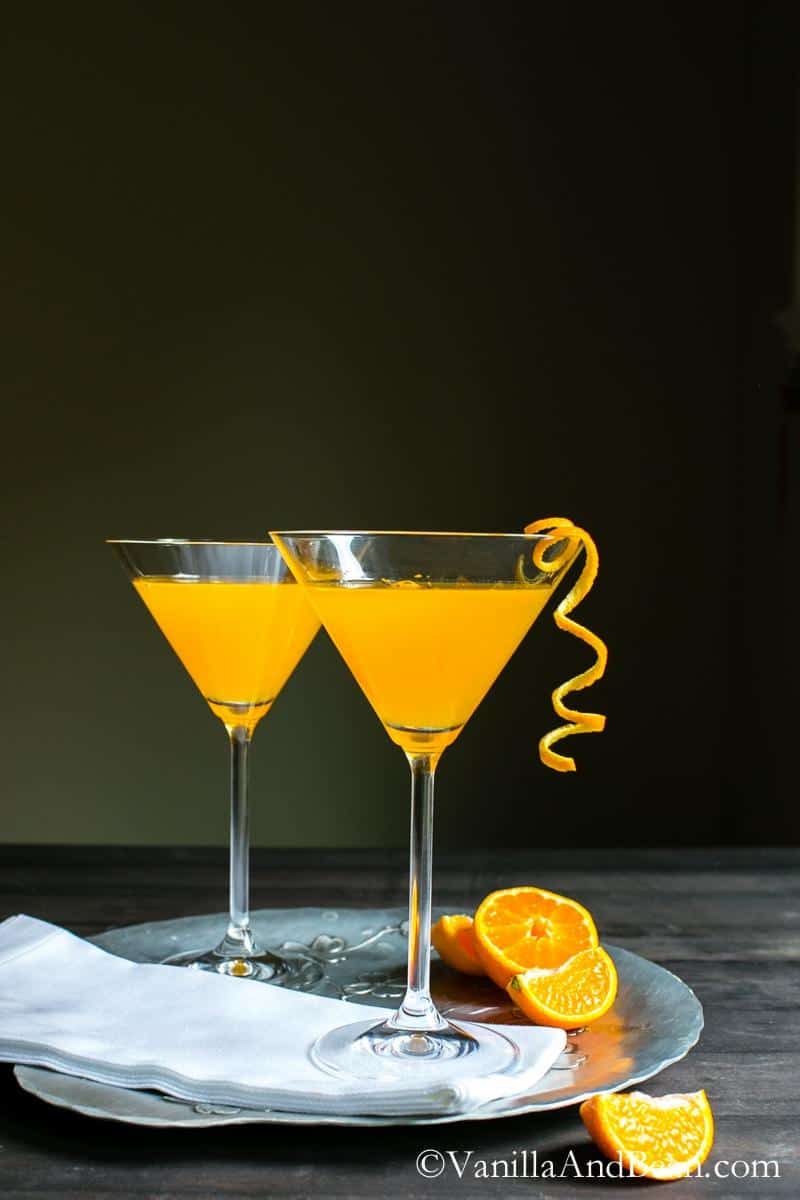 15 Citrus Cocktails that are So Refreshing An Unblurred Lady