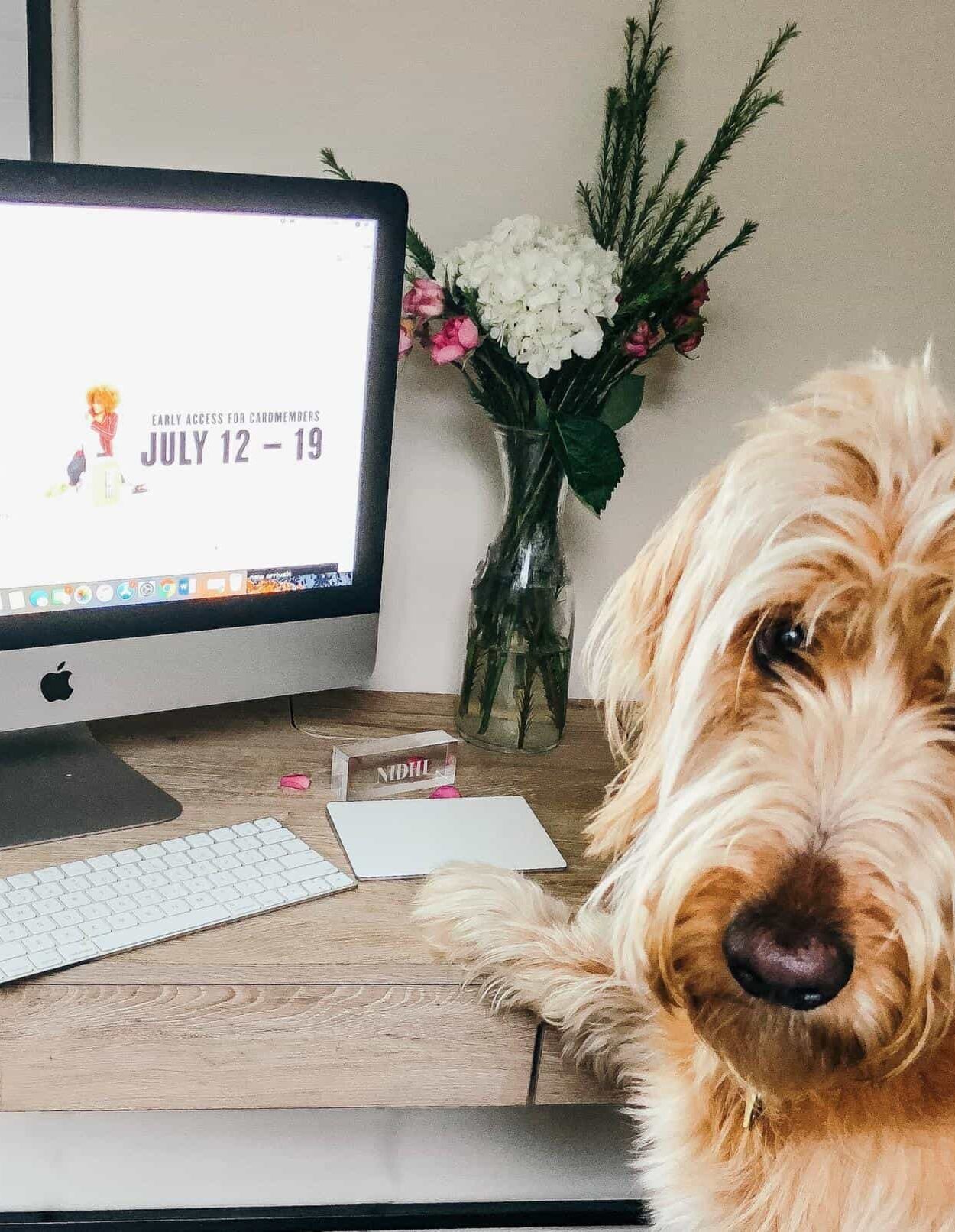 nordstrom anniversary sale 2018