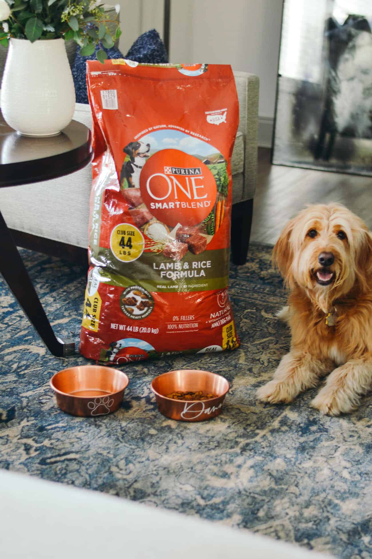 How I Chose My Puppy's Food An Unblurred Lady