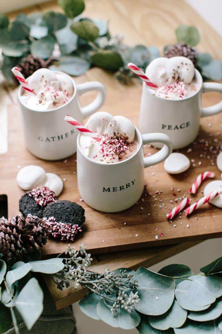 21 Hot Chocolate Recipe that You Need to Try