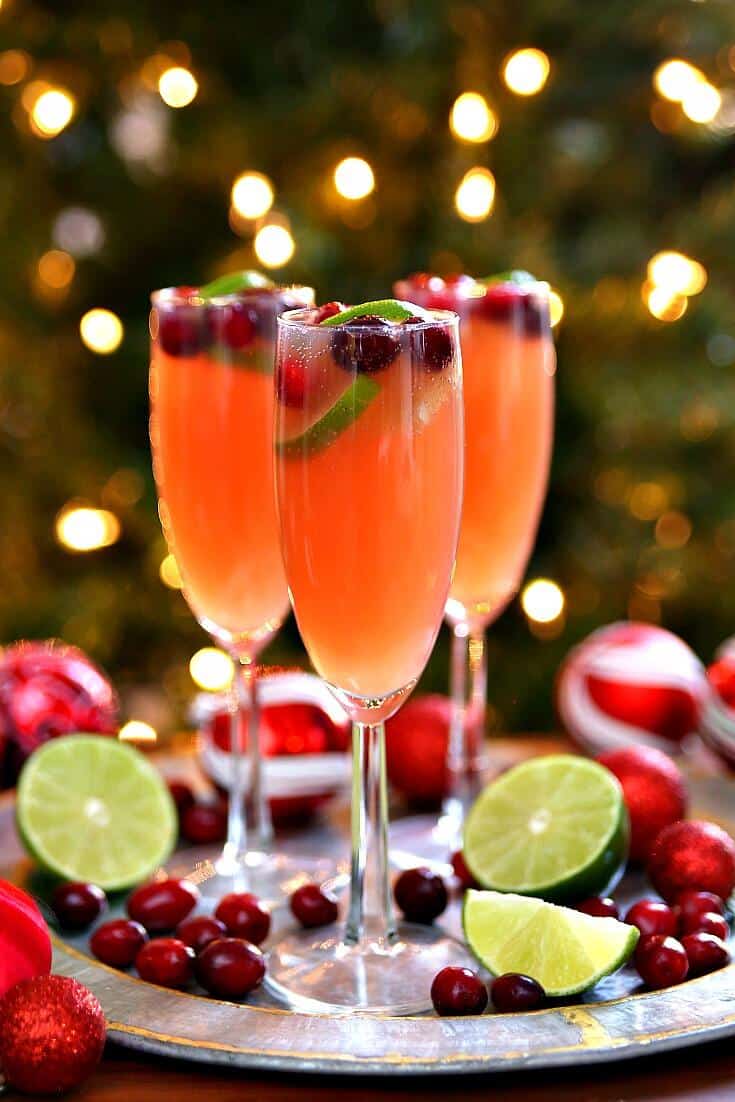 20 Holiday Cocktail Recipes For Your Next Party An Unblurred Lady