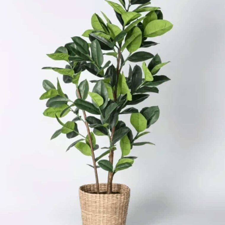 The Studio McGee Target Collection is a Design Dream Come True An