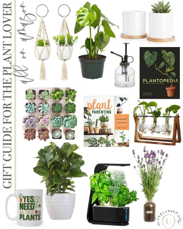 Gift Guide for the Plant Lover on Amazon - An Unblurred Lady
